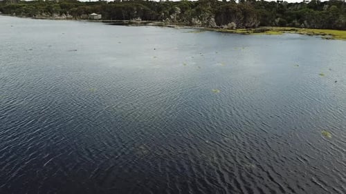 Drone aerial over lake and nature reserve pan up on cloudy day