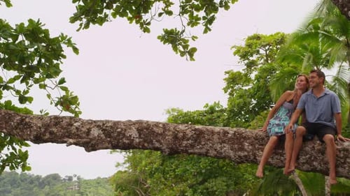 Couple Sitting Together on Tree at Beach, Costa Rica American