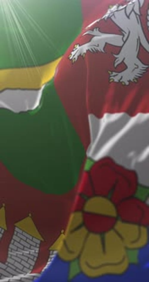 Vertical Waving Flag with Stylized Heraldic Emblems and Sun Flare