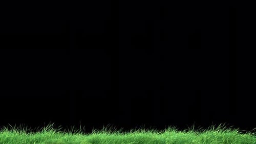 Grass Wind Loop on Alpha 4K.