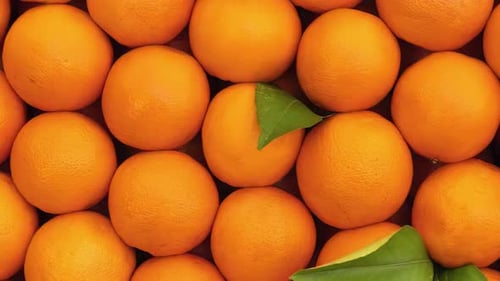 Fresh Orange in rotation Background