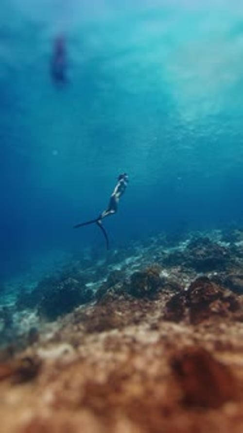 Female freediver swims in the tropical sea. Woman free diver glides underwater in a sea and ascends