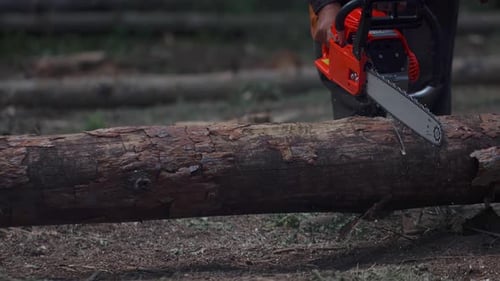Mann sägt Holz mit einer Kettensäge mit vielen fliegenden Spänen und Splittern. Holzfäller fällen Bäume