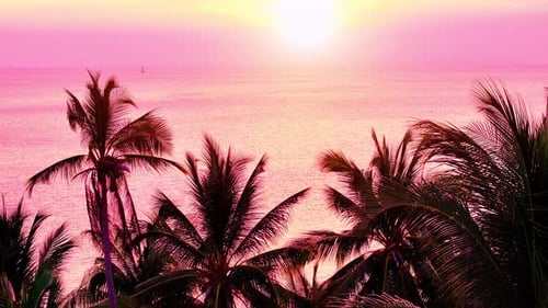 Travel to the paradise sea beach. Sunset at the Tropical Sand Beach