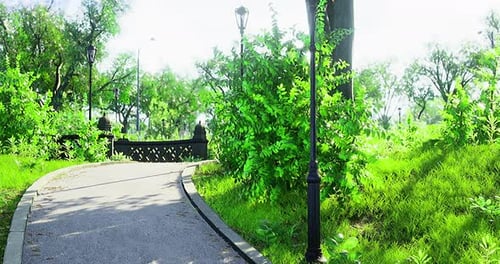 Smooth Camera Movement Through a Lush Green Park Path