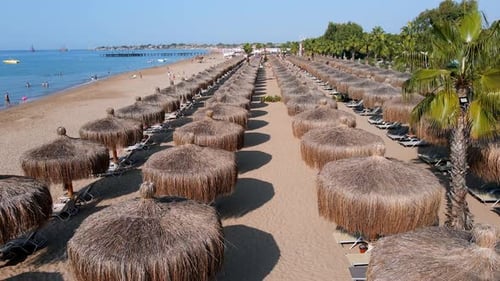Aerial View of Umbrellas Palms on the Sandy Beach People Blue Sea with Waves at Sunset