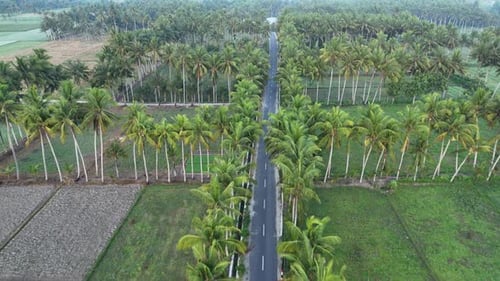 Morning atmosphere in Tempos hamlet