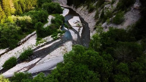 aerial view of a forest landscape with a magnificent river, wild landscape