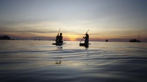 Couple Paddleboarding on Calm Ocean at Sunset