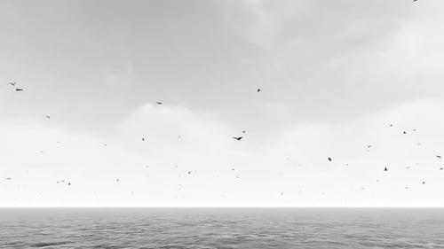 Black And White Sea View