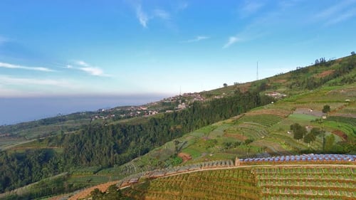 Drone fly over terraced farmland stretches across a green mountainside under clear weather.