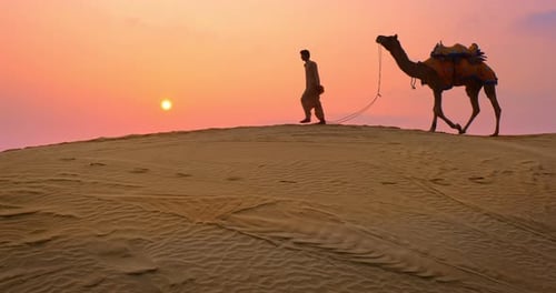 Indian Cameleers Camel Driver with Camel Silhouettes in Sand Dunes of Thar Desert on Sunset