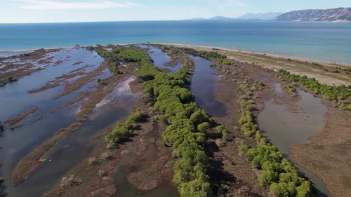 Natural tidal lagoon with mangrove trees surrounded by sand belt on coast of Adriatic sea in Albania