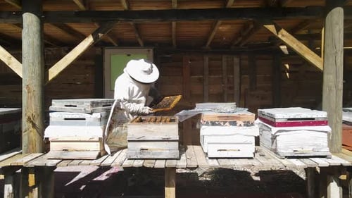 Beekeeping