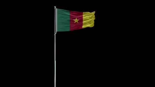 Seamless Loop of Waving Cameroon Flag on Pole