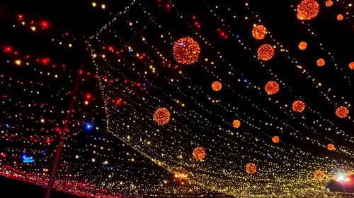 Christmas Tree in the City Center at Winter Night