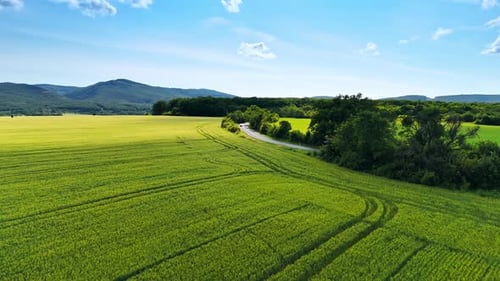 Flight over the beautiful green fields near the highway. Lush forests and verdant mountains