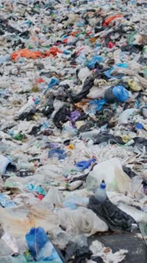 Landfill Mountain of Plastic Bags and Trash Pollution