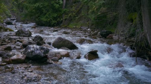 Stream flowing through the rocks in the Canadian Rocky Mountains