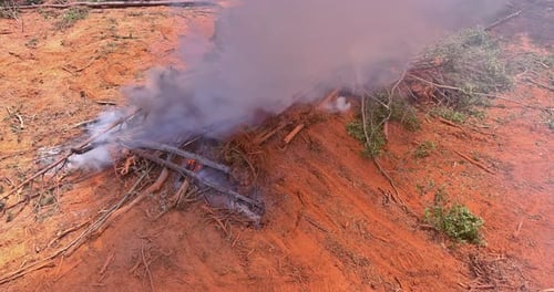 Burning Down Uprooted Forests Clearing Land for Construction Houses and Preparing the Land for