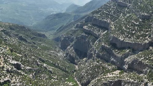 Majestic Alpine Beauty Aerial View of Towering Peaks and Vibrant Spring Forest with Striking