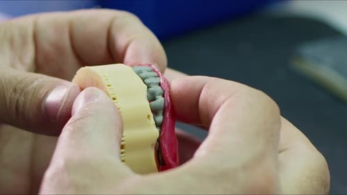 Dental Prosthetics Work Close Up in Laboratory