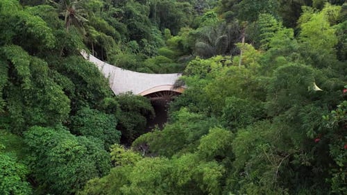 Wooden Traditional Footbridge Over Narrow River Hidden in Dense Tropical Jungle in Southeast Asia