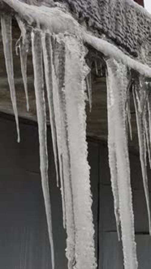 Large Frozen Icicles Hanging From Concrete Roof Overhang In Winter
