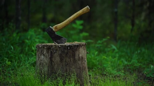 An Axe Is Stuck Into A Stump Against The Background Of A Green Forest