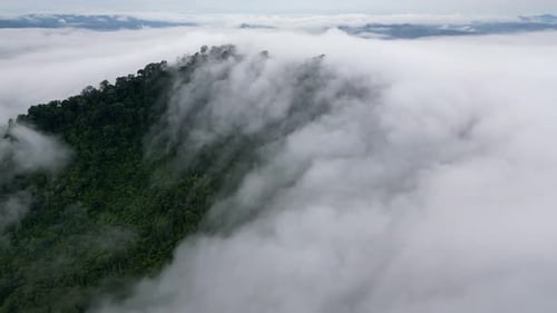 Déplacement lent vers un nuage en cascade dans la forêt tropicale