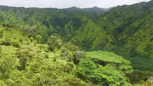 Aerial view of lush green mountains and valley, United States.