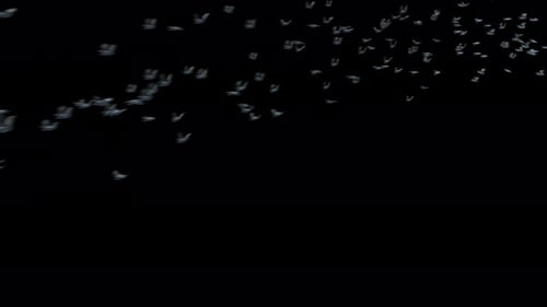 Realistic Flock of White Doves Flying Alpha Channel Overlay