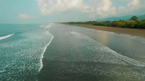 Long sandy coastline with rolling ocean waves and green forest under a blue sky