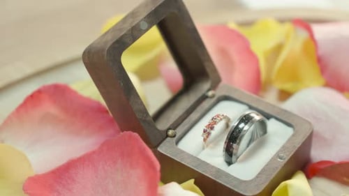 close-up shot of the bride and grooms wedding rings next to each other