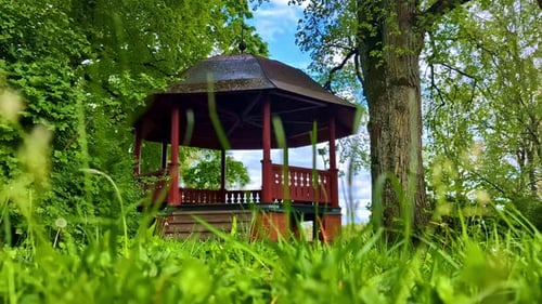 Wooden gazebo and large tree trunk viewed from green grass ground level