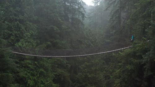 Aerial shot of a person running on a suspension bridge in a dense forest