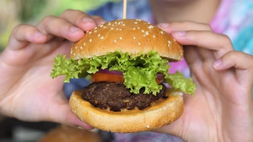 Delicious Hamburger Close-up Presentation