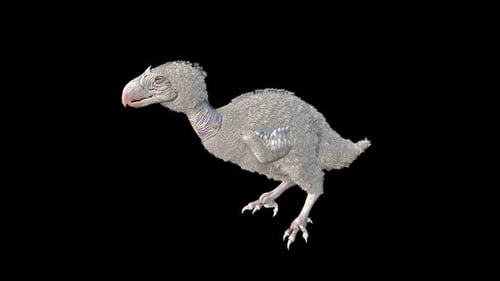 Terror Bird Swim Idle