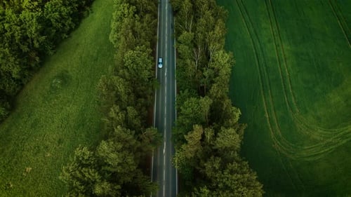 Vehicle Driving Along Narrow Forest Road Light Blue Sedan Moving Under Cloudy Sky Top View Car