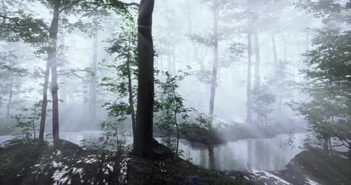 Serene Morning Mist in a Tranquil Forest with a Gentle Stream