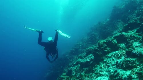 Male Diver Explores Coral Reef Swimming Into Depth