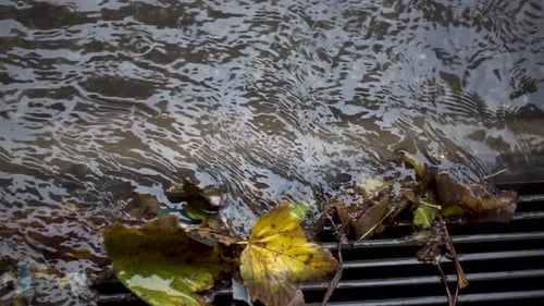Super Slowmotion of Water in The Drain Grate, with green leaves that not allow the drainage