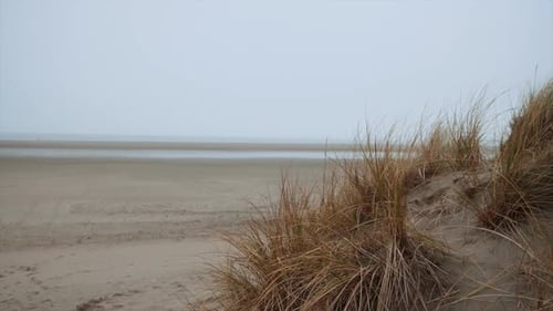 Slow Motion Waves on a Peaceful Sandy Beach
