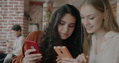Portrait of Young Lady Using Smartphone Showing Screen to Friend Laughing Having Fun in Cafe