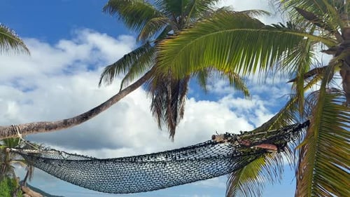 Slow motion footage of hammock between 2 coconut palm trees on white sandy beach on low tide