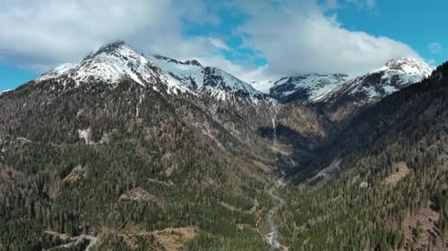 Snow Alp Forest Mountain Range Landscape