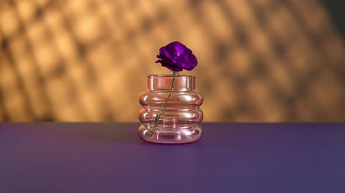 Violette Nelke fällt in eine rosafarbene Glasvase auf gelbem Hintergrund, zarte lila Blumenständer