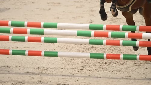Eine Person reitet auf dem Rücken eines weißen Pferdes und zeigt reiterische Fähigkeiten und Kontrolle in einem