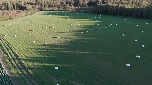 Aerial view of a green field with hay bales scattered across the landscape, surrounded by forest