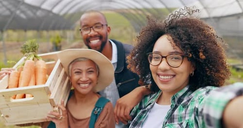 Estufa, selfie ou pessoas em uma fazenda para colheita de vegetais, agricultura ou pequenos negócios